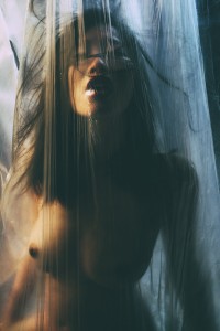 Meta04 